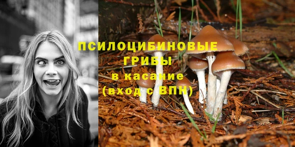 твердый Арсеньев