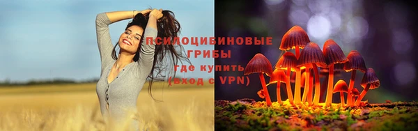 твердый Арсеньев