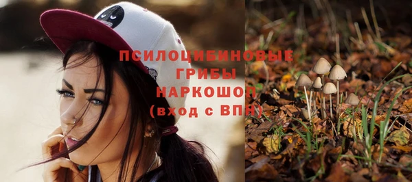 твердый Арсеньев