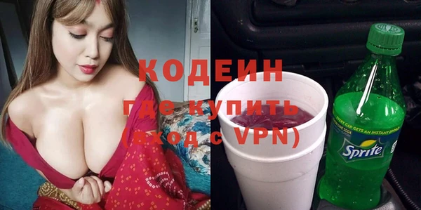 твердый Арсеньев