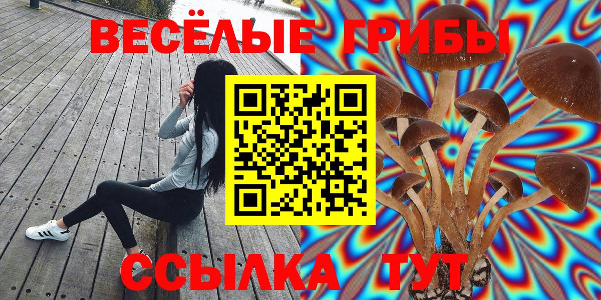 Долгопрудный  Галлюциногенные грибы Psilocybe  Галлюциногенные грибы MAGIC MUSHROOMS  Вход с VPN 